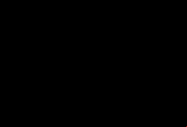 Syndicate Casino